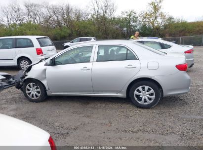 Lot #2992834694 2010 TOYOTA COROLLA LE