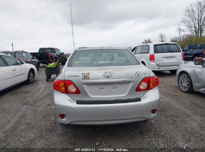 Lot #2992834694 2010 TOYOTA COROLLA LE