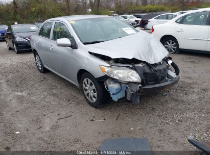 Lot #2992834694 2010 TOYOTA COROLLA LE