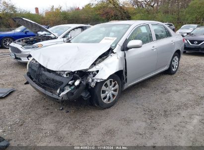 Lot #2992834694 2010 TOYOTA COROLLA LE