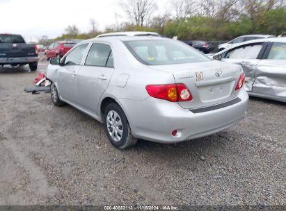 Lot #2992834694 2010 TOYOTA COROLLA LE