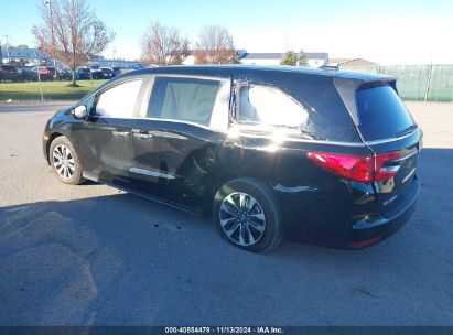 Lot #2990346049 2024 HONDA ODYSSEY EX-L