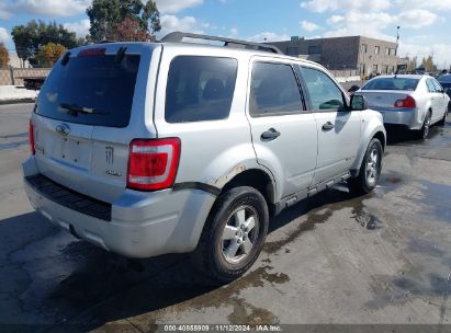 Lot #2992831937 2008 FORD ESCAPE XLT