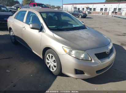 Lot #2995279158 2009 TOYOTA COROLLA LE