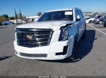 Lot #2992813219 2020 CADILLAC ESCALADE 4WD PLATINUM