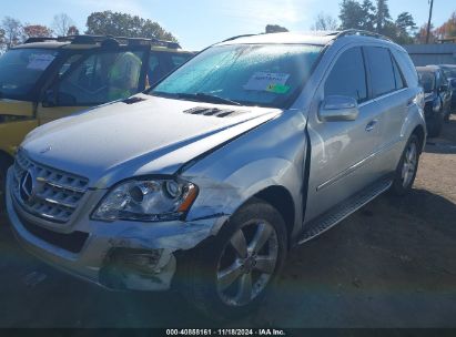 Lot #3037543661 2010 MERCEDES-BENZ ML 350