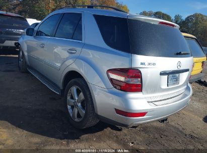 Lot #3037543661 2010 MERCEDES-BENZ ML 350