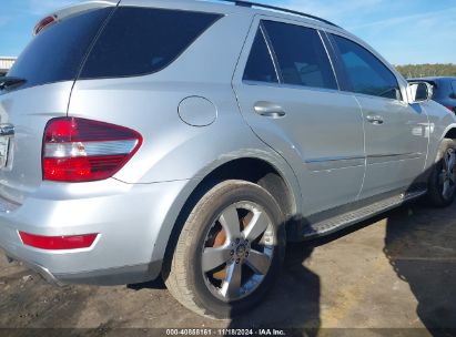 Lot #3037543661 2010 MERCEDES-BENZ ML 350