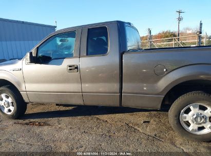 Lot #3035071627 2011 FORD F-150 XLT