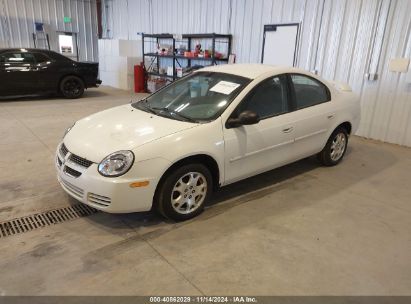 Lot #2992831481 2003 DODGE NEON SXT