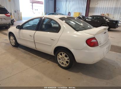 Lot #2992831481 2003 DODGE NEON SXT