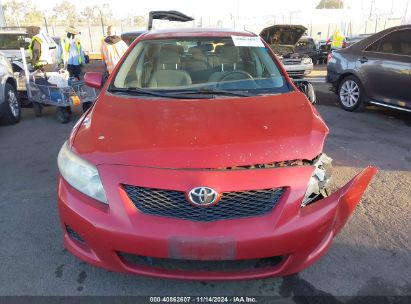 Lot #3035094391 2010 TOYOTA COROLLA LE