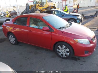 Lot #3035094391 2010 TOYOTA COROLLA LE