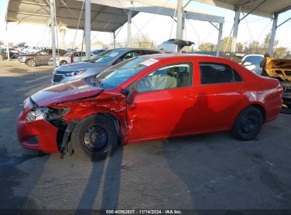 Lot #3035094391 2010 TOYOTA COROLLA LE