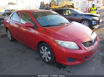 Lot #3035094391 2010 TOYOTA COROLLA LE