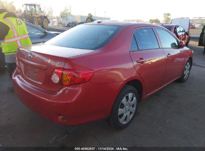 Lot #3035094391 2010 TOYOTA COROLLA LE