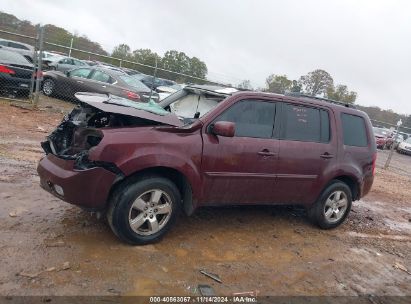 Lot #2992821257 2011 HONDA PILOT EX-L