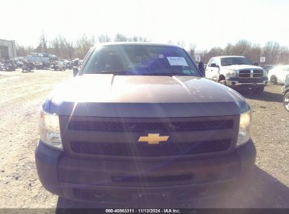 Lot #2990345999 2013 CHEVROLET SILVERADO 1500 WORK TRUCK