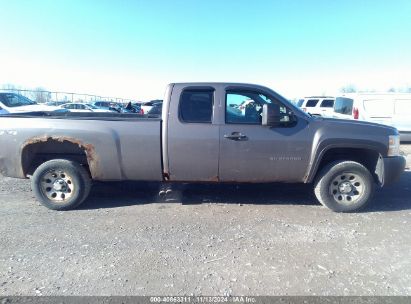 Lot #2990345999 2013 CHEVROLET SILVERADO 1500 WORK TRUCK