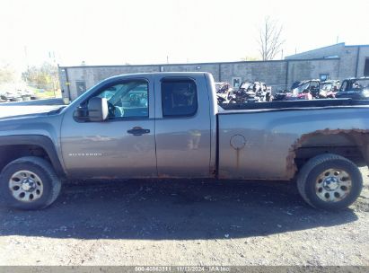 Lot #2990345999 2013 CHEVROLET SILVERADO 1500 WORK TRUCK