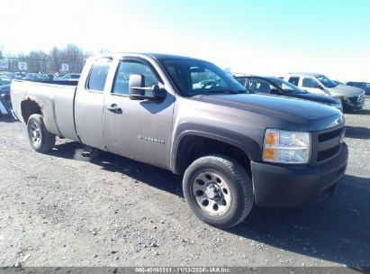 Lot #2990345999 2013 CHEVROLET SILVERADO 1500 WORK TRUCK