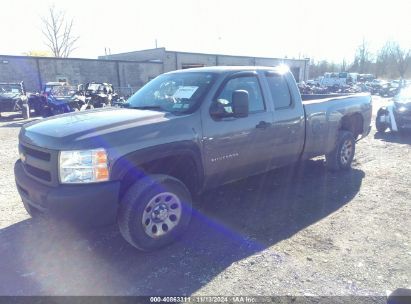 Lot #2990345999 2013 CHEVROLET SILVERADO 1500 WORK TRUCK