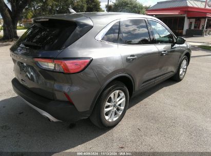 Lot #2990345997 2021 FORD ESCAPE