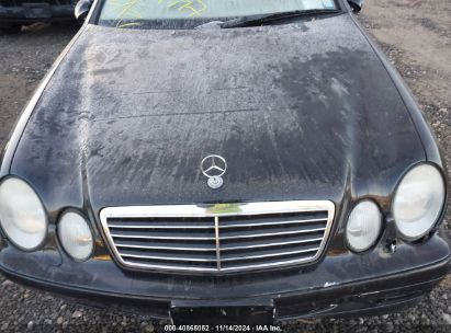 Lot #3052075078 2001 MERCEDES-BENZ CLK 320