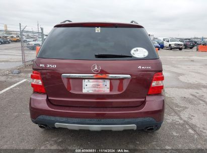 Lot #3045360681 2007 MERCEDES-BENZ ML 350 4MATIC