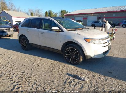 Lot #2992821238 2013 FORD EDGE SEL