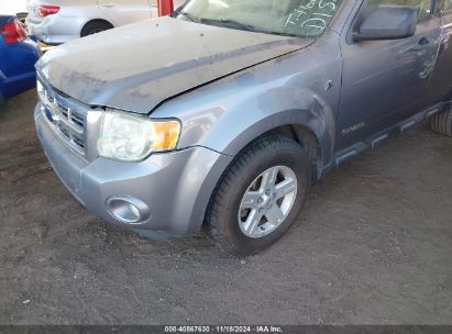 Lot #3053066657 2008 FORD ESCAPE HYBRID