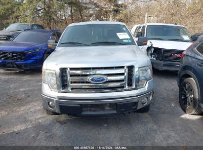 Lot #2992834477 2011 FORD F-150 XLT