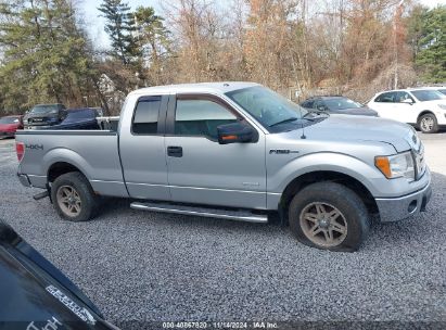 Lot #2992834477 2011 FORD F-150 XLT