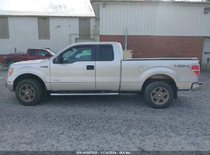 Lot #2992834477 2011 FORD F-150 XLT