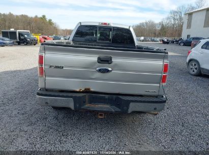 Lot #2992834477 2011 FORD F-150 XLT