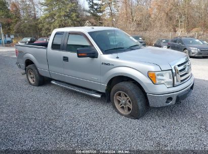 Lot #2992834477 2011 FORD F-150 XLT