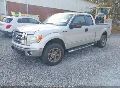 Lot #2992834477 2011 FORD F-150 XLT