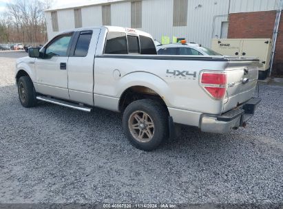 Lot #2992834477 2011 FORD F-150 XLT