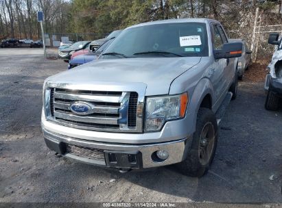 Lot #2992834477 2011 FORD F-150 XLT