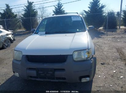 Lot #3035095658 2002 FORD ESCAPE XLT