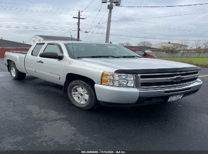 Lot #3005344695 2010 CHEVROLET SILVERADO 1500 LT