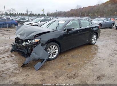 Lot #3035082901 2015 LEXUS ES 300H