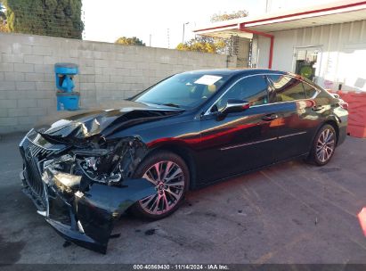 Lot #3035094318 2019 LEXUS ES 350