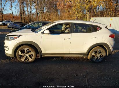 Lot #2992834408 2017 HYUNDAI TUCSON SPORT