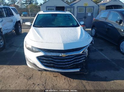 Lot #2992821173 2023 CHEVROLET MALIBU FWD 1LT