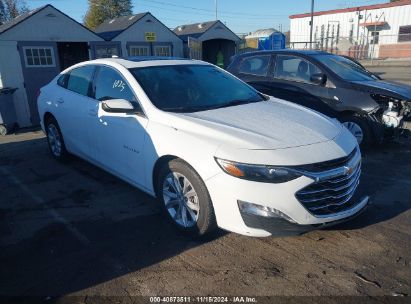 Lot #2992821173 2023 CHEVROLET MALIBU FWD 1LT