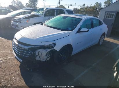 Lot #2992821173 2023 CHEVROLET MALIBU FWD 1LT