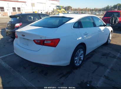 Lot #2992821173 2023 CHEVROLET MALIBU FWD 1LT