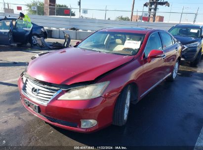 Lot #3035094286 2010 LEXUS ES 350