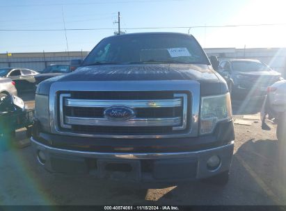 Lot #3035082998 2013 FORD F-150 XLT